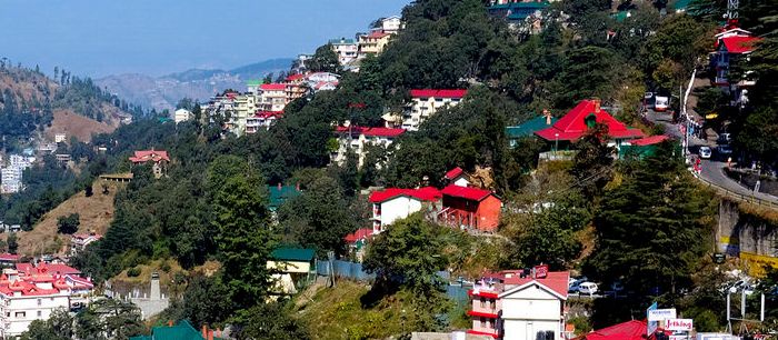 Shimla Valley View