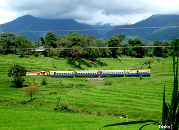 Palampur Hill Station